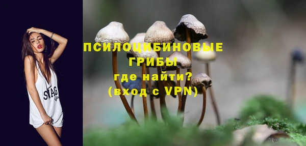 прущие крисы Алзамай