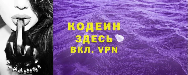 шишки Няндома