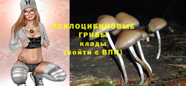 дурь Алексеевка